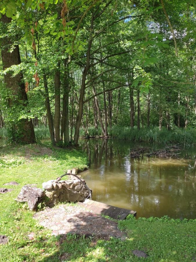 Agroturystyka Kajaki Sauna Pierogi Bakalarzewo Экстерьер фото