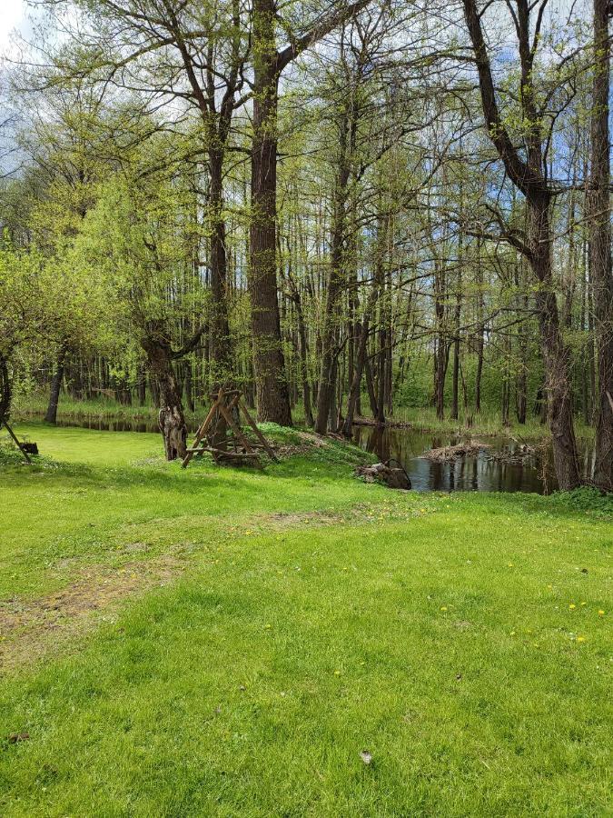 Agroturystyka Kajaki Sauna Pierogi Bakalarzewo Экстерьер фото
